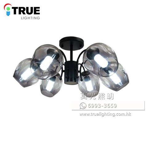 廳燈|燈飾 天花燈 廳燈 LED Ceiling Lamp (E27 x 六頭)